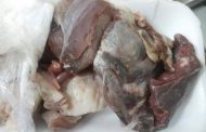حجز كمية من اللحوم الفاسدة‎  بصفرو