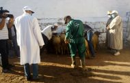 إقليم ميدلت .. ارتياح لدى التجار بعد فتح الأسواق الأسبوعية من جديد بمنطقة الريش
