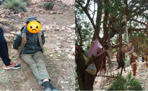 أمن بني ملال يوقف شخصا متورطا في ذبح الكلاب والقطط والاتجار في لحومها