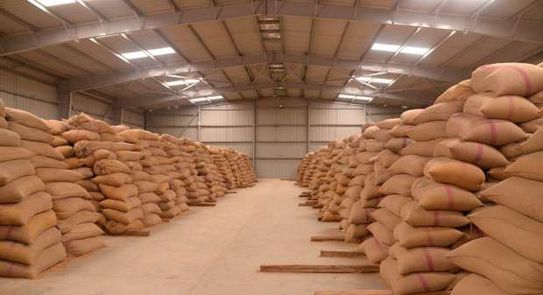 مخزون القمح بالمغرب يكفي لــ5 أشهر