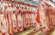 الحكومة تمنع ذبح الأبقار أقل من 4 سنوات وتسمح باستيراد 200 ألف رأس من الأبقار بدون رسوم جمركية