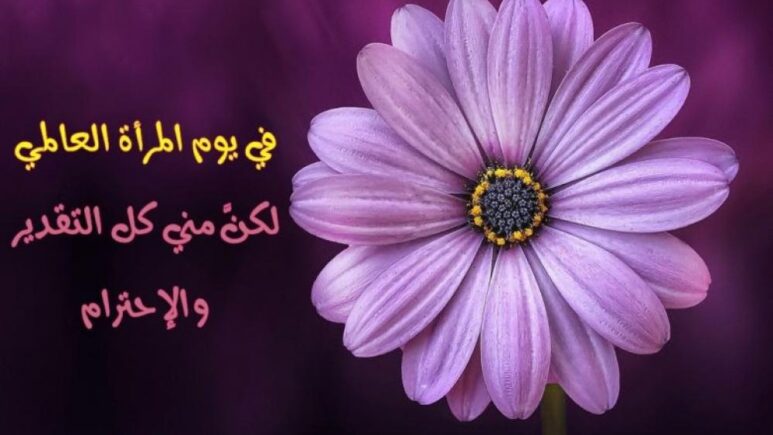 بمناسبة اليوم العالمي للمرأة.. المرصد الوطني لمنظومة التربية والتكوين يحتفي بالمرأة المغربية