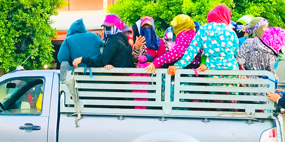 ظروف تنقل عمال الضيعات الفلاحية تُسائل الوزير السكوري