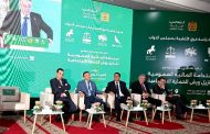 فرق الأغلبية ب