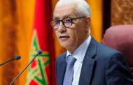 الطالبي العلمي: المصادقة على 13 مقترح قانون خلال دورة أبريل سابقة إيجابية