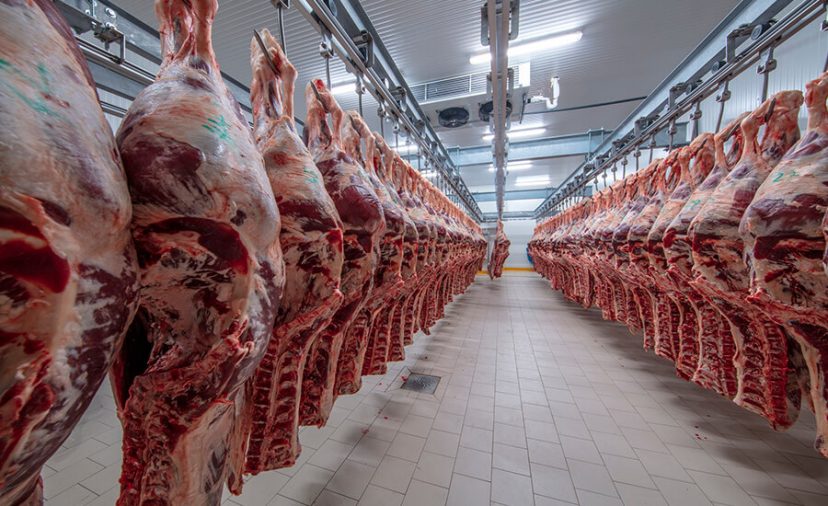 الحكومة تعلن استيراد 20 ألف طن من اللحوم الطرية والمجمدة قبل بداية 2025