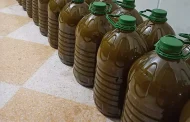 حجز أطنان من زيت الزيتون نواحي بني ملال يُشتبه أنها مغشوشة