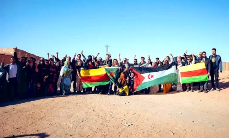 تقرير تلفزي يفضح دعم الجزائر لحركة 