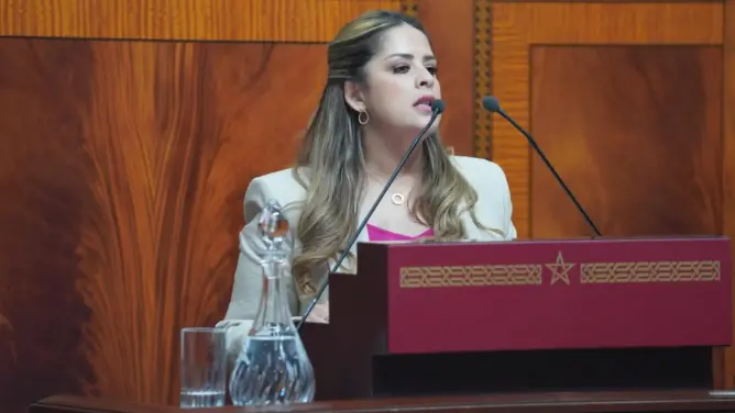 الطالبي العلمي يحيل البرلمانية ريم شباط على لجنة الأخلاقيات ويتهمها بخرق الدستور