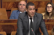 رسميا.. المحكمة الدستورية تجرد محمد بودريقة من مقعده البرلماني