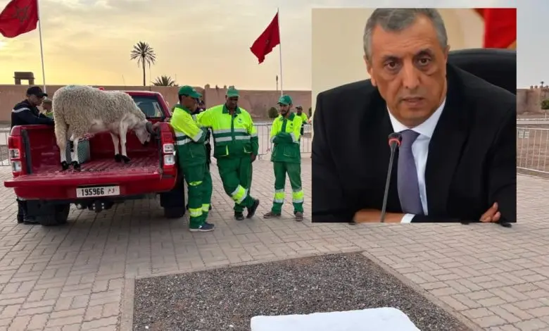 إعفاء والي جهة مراكش آسفي فريد شوراق بسبب ذبح أضحية العيد