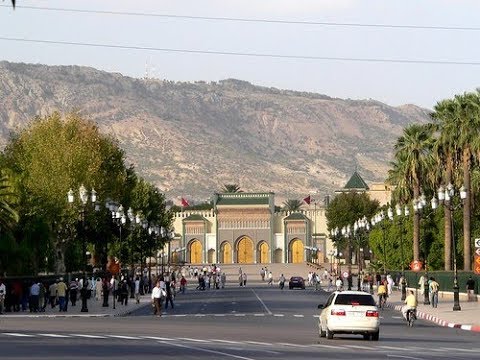 مستشاران جماعيان بفاس يقترحان منع زراعة النخيل بسبب ارتفاع درجات الحرارة