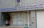المكتب المغربي لحقوق المؤلف يفتح باب تسجيل الصحفيين للاستفادة من مستحقات النسخ التصويري