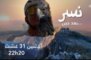 فيلم 