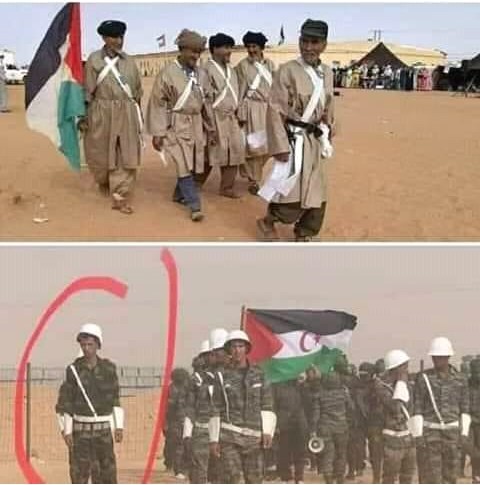 صورة مضحكة ومتداولة في وسائط التواصل الإجتماعي لأشبال البوليساريو