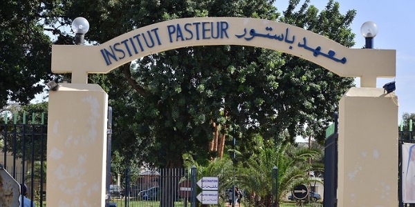 أخبار كاذبة حول وباء “كورونا”.. معهد 