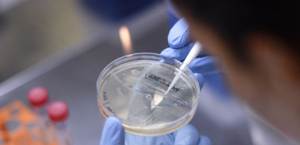 أبحاث أمريكية.. 