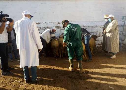 إقليم ميدلت .. ارتياح لدى التجار بعد فتح الأسواق الأسبوعية من جديد بمنطقة الريش