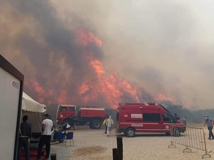 طنجة .. السيطرة على حريق أتى على 36 هكتارا من الغابة الدبلوماسية