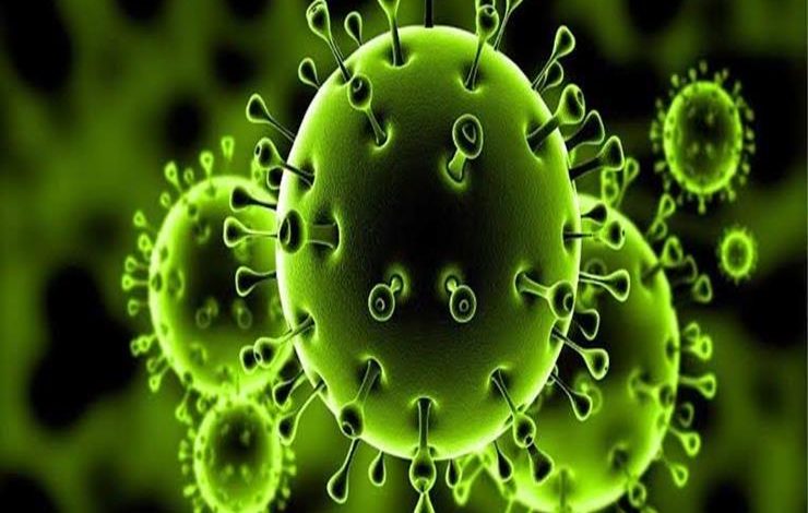 معاذ المرابط.. أشعة الشمس تؤثر على “فيروس كورونا” لكنها لا تقضي عليه