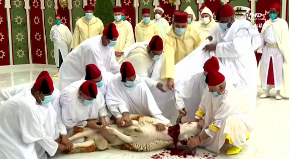 أمير المؤمنين يؤدي صلاة عيد الأضحى ويقوم بنحر أضحية العيد