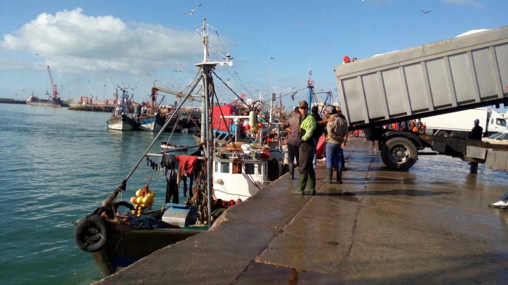 إغلاق ميناء العيون إلى إشعار آخر تحسبا لموجة ثانية من فيروس كورونا