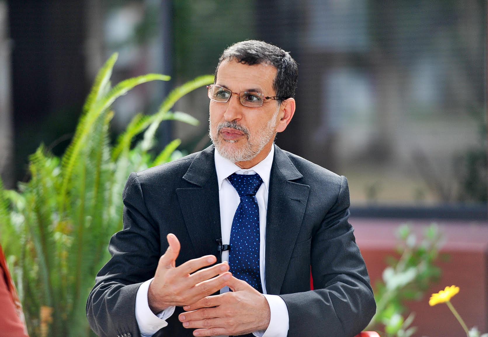 سعد الدين العثماني: 