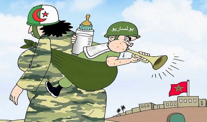 بالحجج والأدلة.. السفير الممثل الدائم للمغرب لدى الأمم المتحدة عمر هلال يفضح أكاذيب الجزائر ولقيطتها البوليساريو