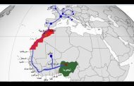 سبب انزعاج روسيا والجزائر من مشروع نقل الغاز بين المغرب ونيجيريا !!