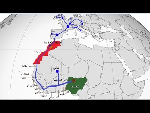سبب انزعاج روسيا والجزائر من مشروع نقل الغاز بين المغرب ونيجيريا !!