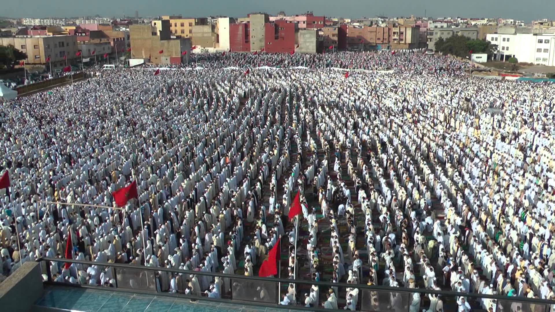 عاجل.. هذا ما قررته وزارة الأوقاف والشؤون الإسلامية بخصوص صلاة عيد الفطر