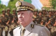 رئيس أركان الجيش الجزائري 