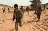 وزراء وخبراء أفارقة يدعون إلى طرد ما يسمى ب