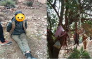أمن بني ملال يوقف شخصا متورطا في ذبح الكلاب والقطط والاتجار في لحومها