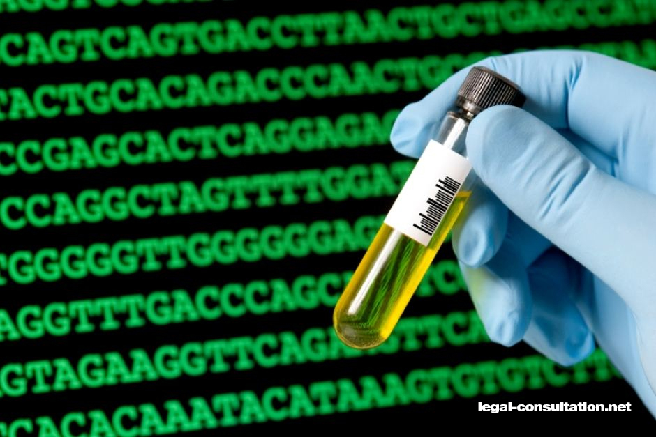 المغرب.. وزارة العدل بصدد إعداد مشروع قانون حول 