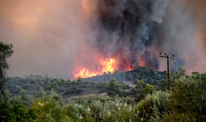 حريق تطوان.. احتراق 70 منزلا ونفوق 90 رأس ماشية وإجلاء 225 شخصا