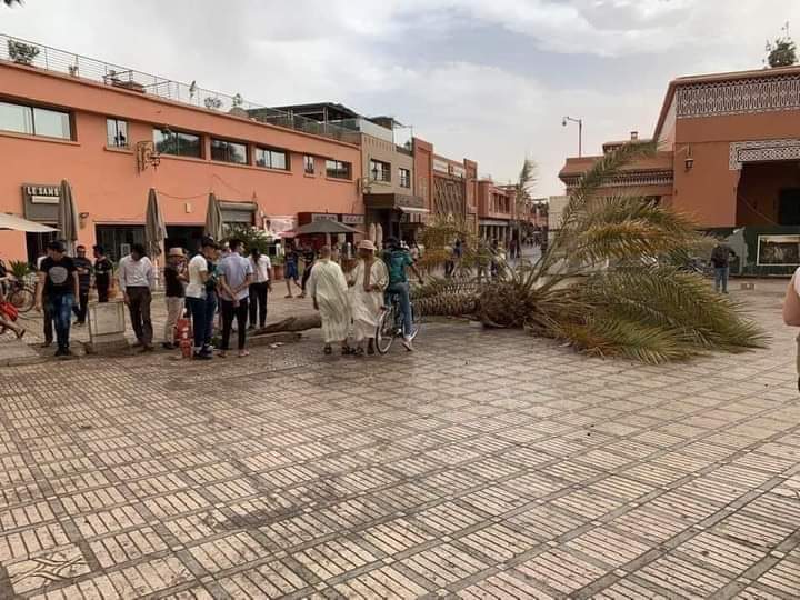 عاصفة رملية قوية تضرب مدينة مراكش وتتسبب في تكسير سيارات و سقوط أشهر نخلة بساحة جامع الفنا + صور