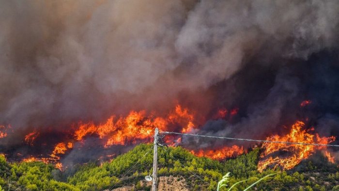 اعتقال 5 أشخاص يشتبه تورطهم في في إضرام النار عمدا في غابة جبل 