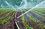 الحكومة: الفلاحة التصديرية تسببت في شح المياه وغلاء المحروقات تسبب في ارتفاع تكاليف الإنتاج