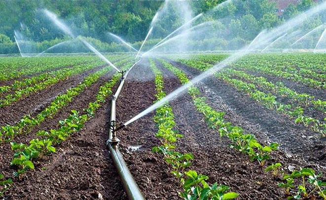 الحكومة: الفلاحة التصديرية تسببت في شح المياه وغلاء المحروقات تسبب في ارتفاع تكاليف الإنتاج