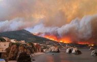 المغرب يتقدم بالتعازي إلى الجارة الشرقية الجزائر في ضحايا حرائق الغابات