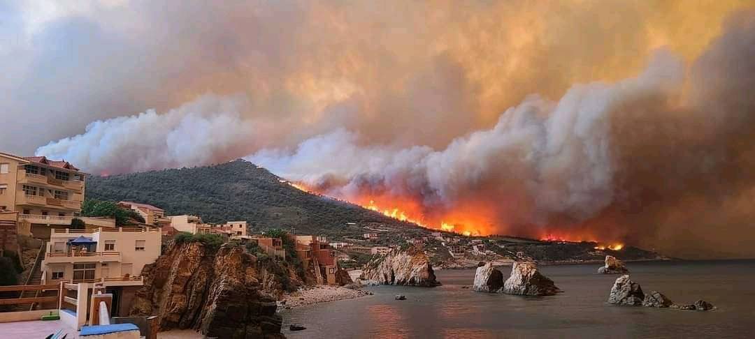 المغرب يتقدم بالتعازي إلى الجارة الشرقية الجزائر في ضحايا حرائق الغابات