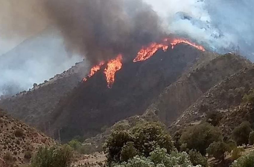 لليوم الثالث على التوالي.. السلطات تسابق الزمن لإخماد حريق غابة مغراوة بإقليم تازة