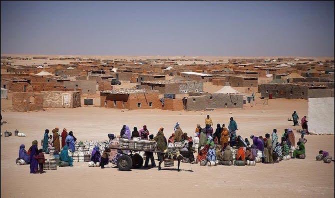 المغرب يفضح انتهاكات حقوق الإنسان في مخيمات تندوف، ويؤكد أمام الجمعية العامة للأمم المتحدة بأن الجزائر طرفا رئيسيا في قضية الصحراء المغربية