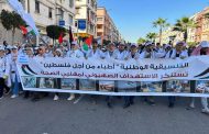 أزيد من 80 طبيبا مغربيا يبدون استعدادهم للتطوع في قطاع غزة