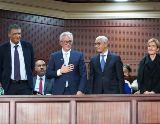 رئيس الجمعية البرلمانية لمجلس أوروبا يشيد بالإصلاحات التي يقودها الملك محمد السادس