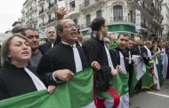خطير.. الجزائر تلاحق محاميي الحراك وتزج بهم في السجون