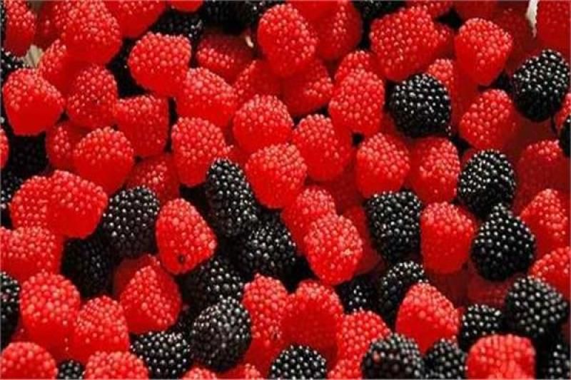 المغرب يضاعف صادراته من التوت إلى بريطانيا