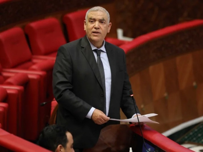 وزير الداخلية: هجمات إعلامية ممنهجة تستهدف تشويه صورة المغرب عبر ملف الكلاب الضالة