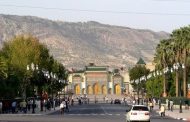 مستشاران جماعيان بفاس يقترحان منع زراعة النخيل بسبب ارتفاع درجات الحرارة